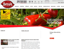 Tablet Screenshot of berraktursulari.com.tr